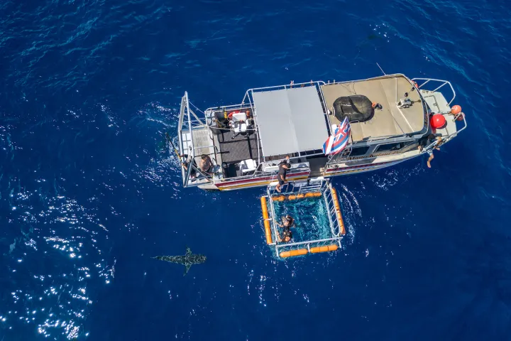 aerial photo of boat