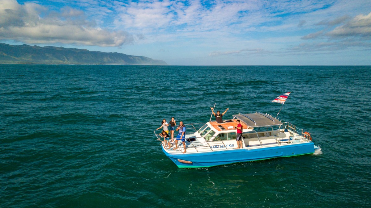 blue_boat_-_12_pax__50 a small boat in a body of water