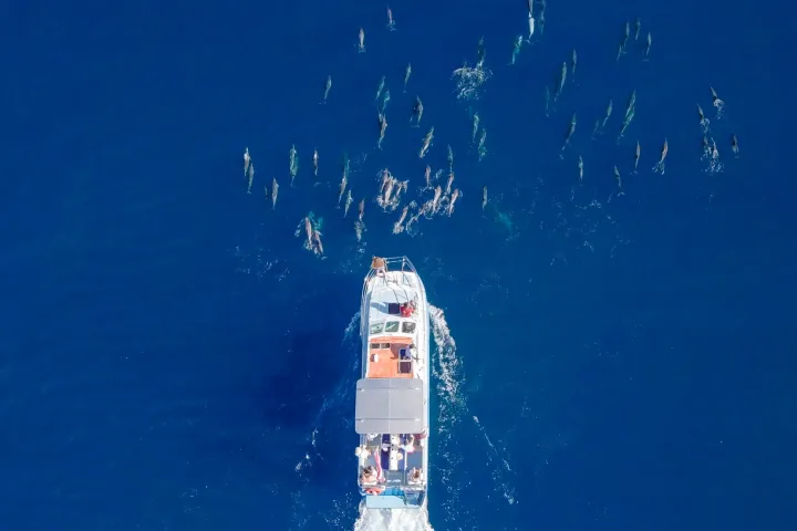 a large body of water