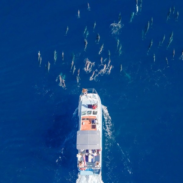 a large body of water